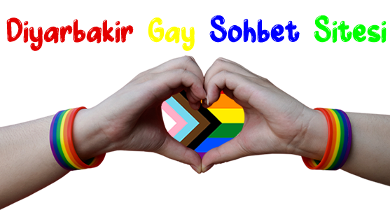 Diyarbakır Gay Sohbet Seks Chat