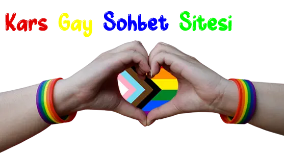 Kars Gay Sohbet Seks Chat