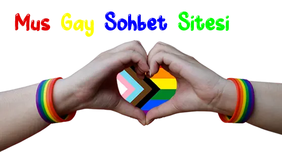 Muş Gay Sohbet Seks Chat