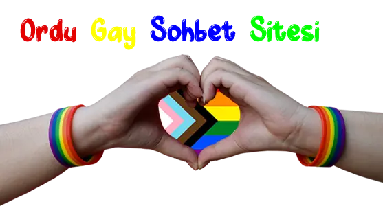 Ordu Gay Sohbet Seks Chat