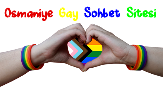 Osmaniye Gay Sohbet Seks Chat