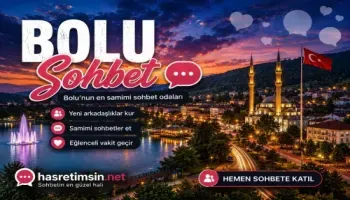 Bolu Sohbet – Yemyeşil Doğanın Başkenti Bolu'nun Sıcak Sohbet Odaları