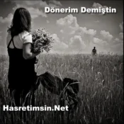 Dönerim Demiştin