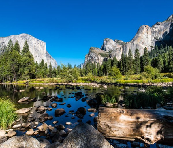 Yosemite Ulusal Parkı Amerika