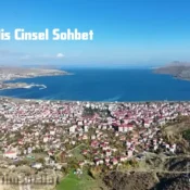 Bitlis Cinsel Sohbet