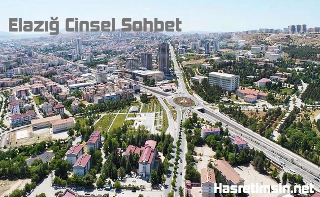 Elazığ Cinsel Sohbet