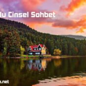 bolu cinsel sohbet