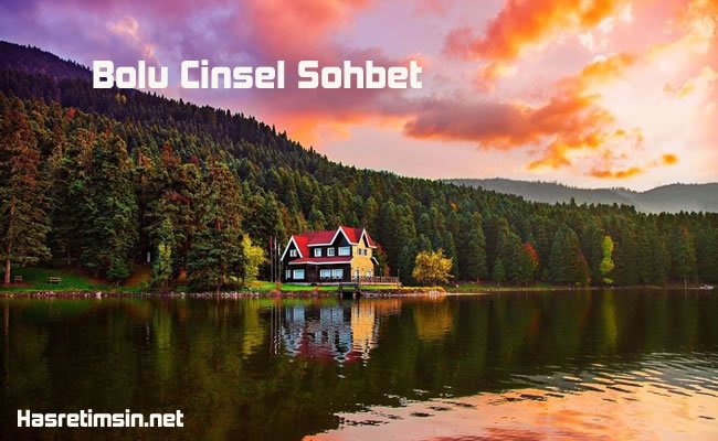 bolu cinsel sohbet