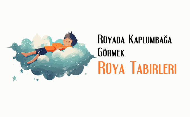 Rüyada Kaplumbağa Görmek